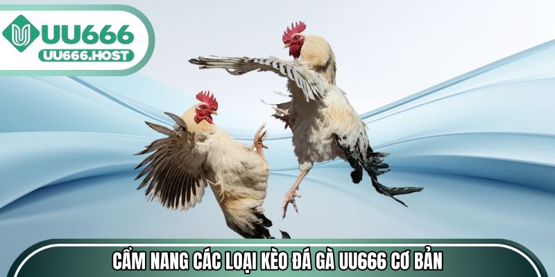 Cẩm nang các loại kèo đá gà UU666 cơ bản