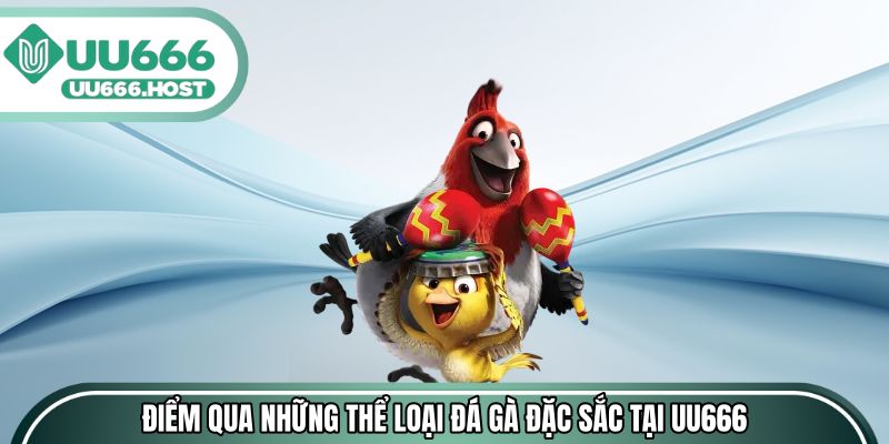 Điểm qua những thể loại đá gà đặc sắc tại UU666