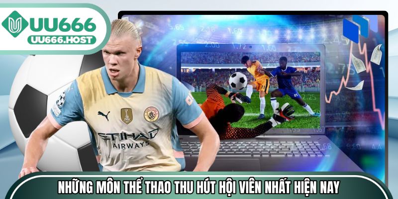 Những môn thể thao thu hút hội viên nhất hiện nay